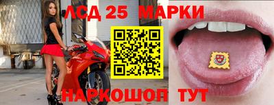 СК Бийск