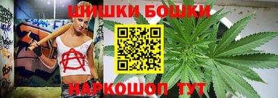 СК Бийск