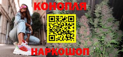 СК Бийск