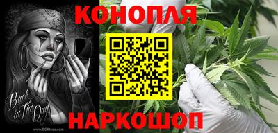 СК Бийск