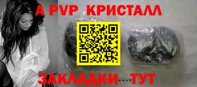 СК Бийск
