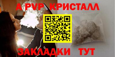 СК Бийск