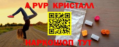 СК Бийск
